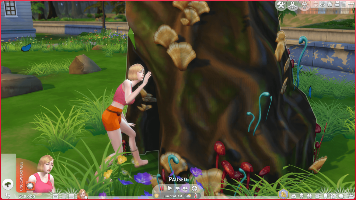 Sylvan Glade (Willow Creek) All Hidden Worlds