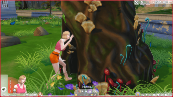 Sylvan Glade (Willow Creek) All Hidden Worlds