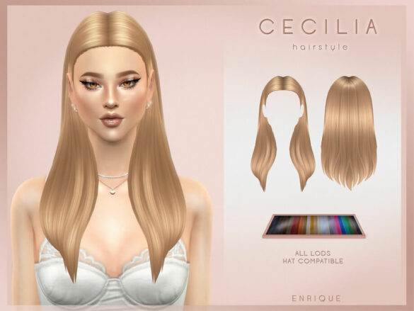 Cecilia Hairstyle
