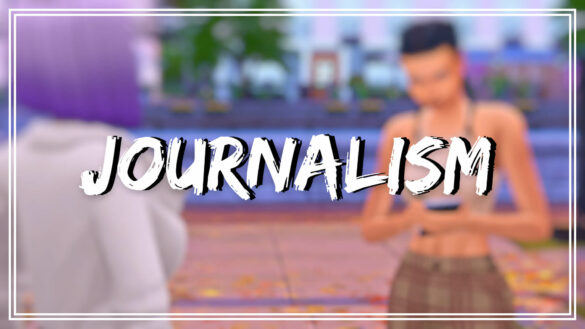 Journalism Career
