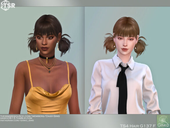 Pigtail Buns Hairstyle