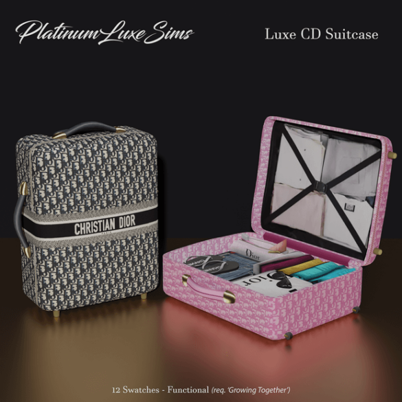 Functional Luxe CD Suitcase (English)
