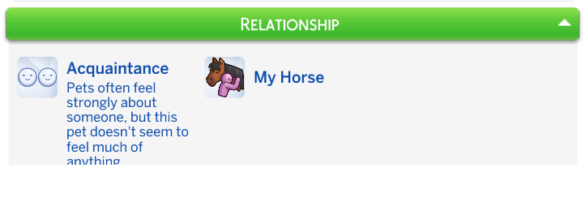 Horse Ownership