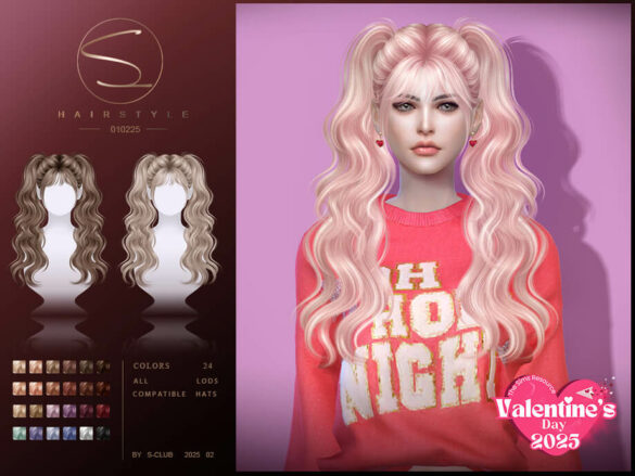 Double Ponytail hair 010225 by S-Club